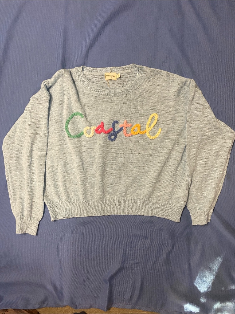 Light Blue Crewneck Sweater with Multicolor 'Coastal' Embroidery